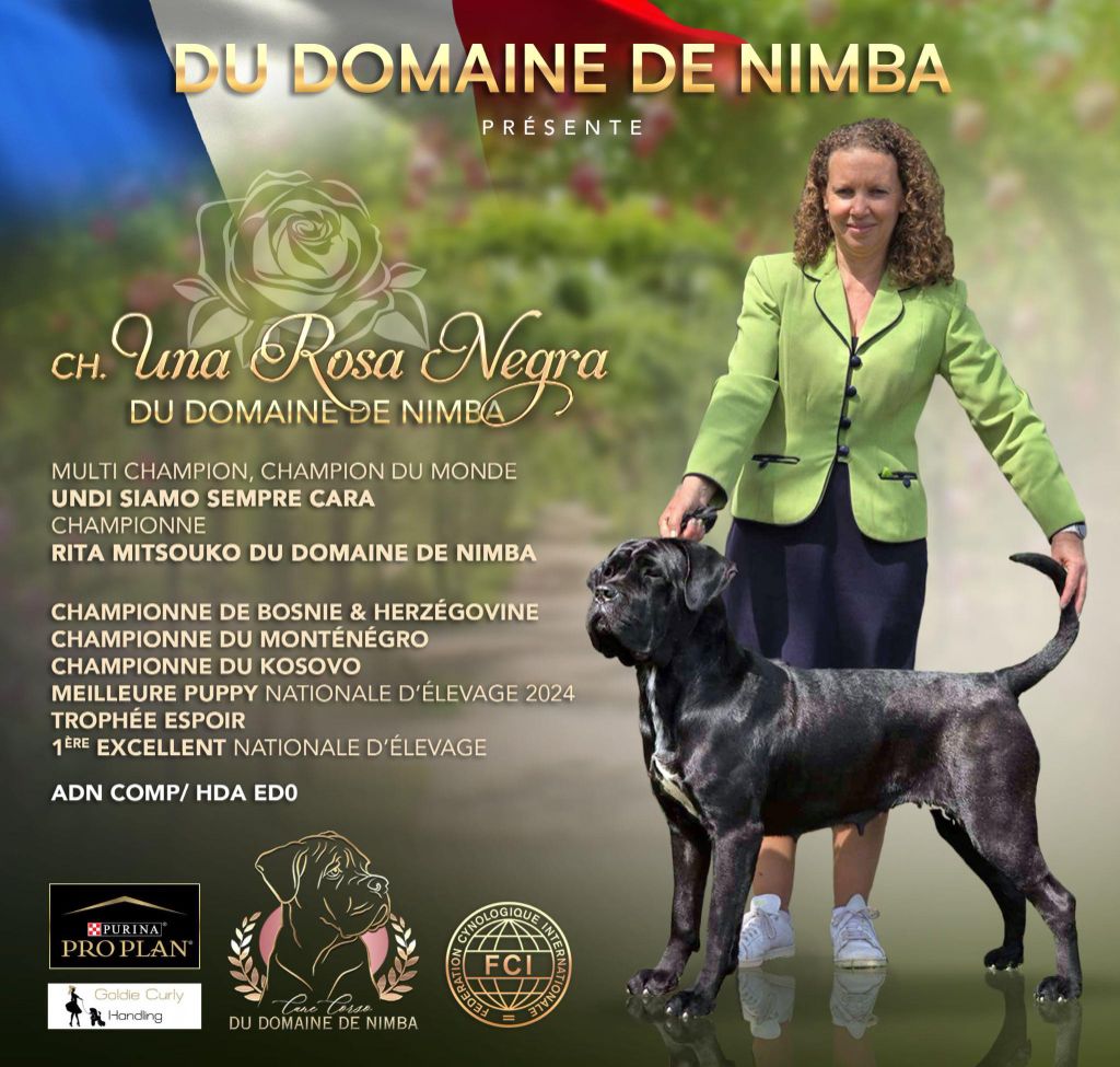 CH. Una rosa negra Du Domaine De Nimba