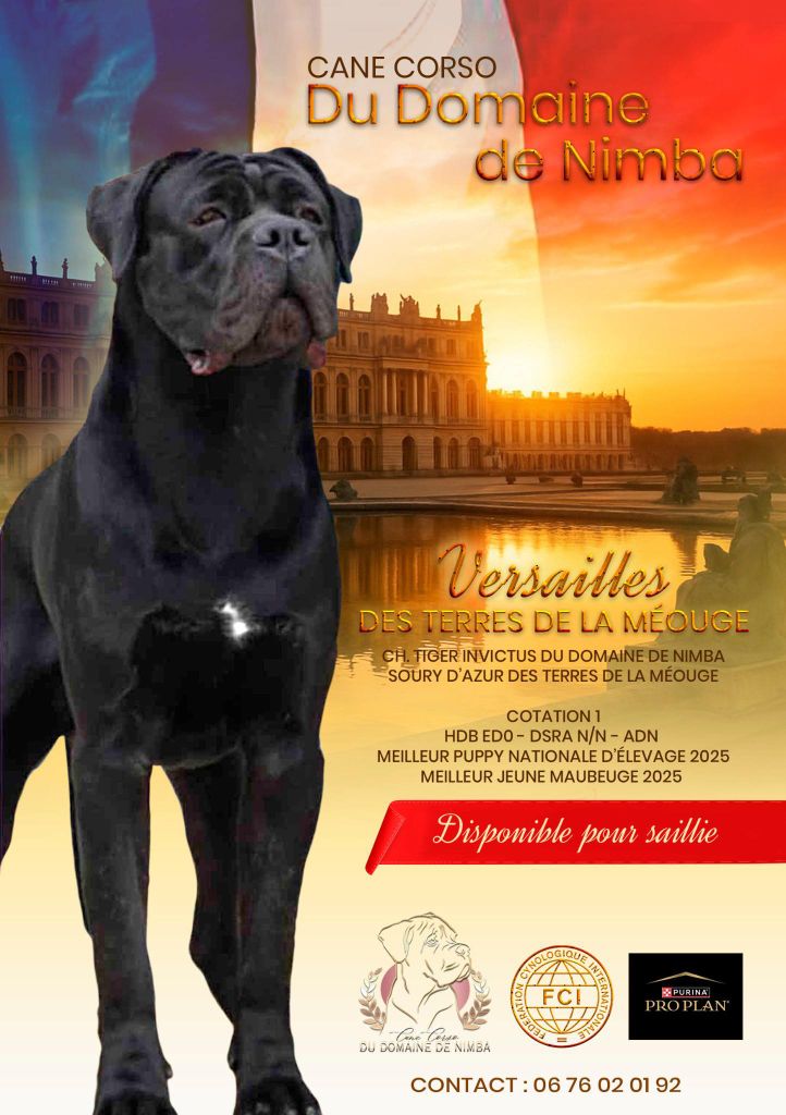 Versailles Des Terres De La Meouge