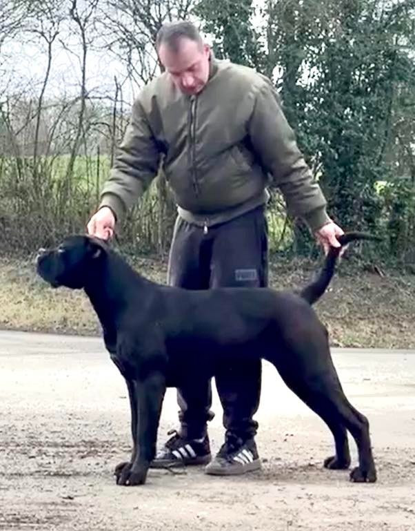 Xana siamo sempre cara