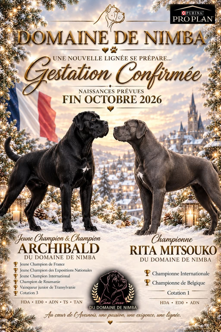 Nouveau Mariage